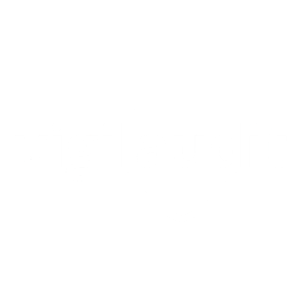 VigilAudit (dark)